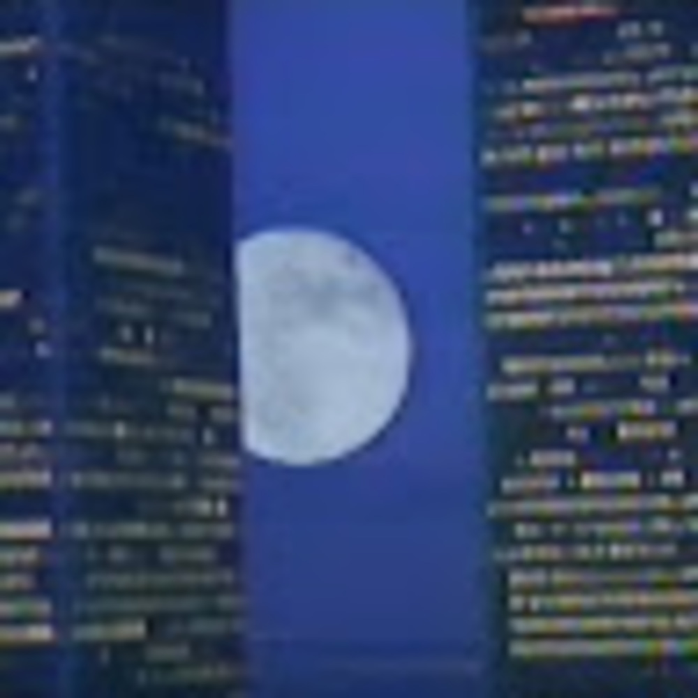 Meet your Posher, Garden